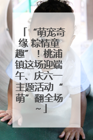 “萌宠奇缘 粽情童趣”！桃浦镇这场迎端午、庆六一主题活动“萌”翻全场～