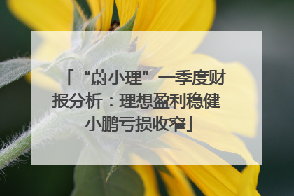 “蔚小理”一季度财报分析：理想盈利稳健 小鹏亏损收窄