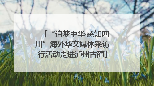 “追梦中华·感知四川”海外华文媒体采访行活动走进泸州古蔺