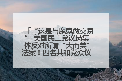 “这是与魔鬼做交易” 美国民主党议员集体反对所谓“大而美”法案！四名共和党众议员投反对票
