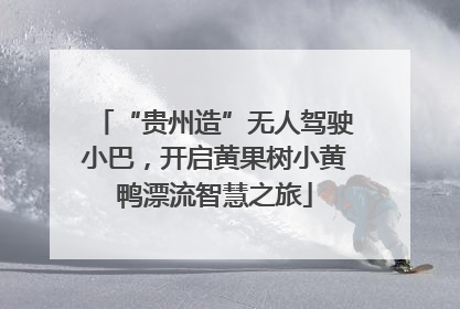 “贵州造”无人驾驶小巴，开启黄果树小黄鸭漂流智慧之旅