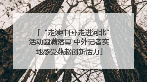 “走读中国·走进河北”活动圆满落幕 中外记者实地感受燕赵创新活力