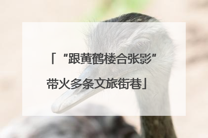 “跟黄鹤楼合张影”带火多条文旅街巷
