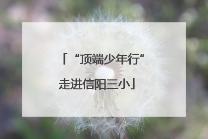 “顶端少年行”走进信阳三小