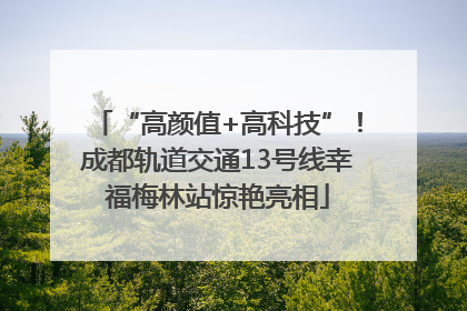 “高颜值+高科技”！成都轨道交通13号线幸福梅林站惊艳亮相