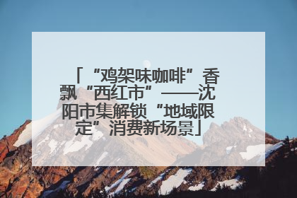 “鸡架味咖啡”香飘“西红市”——沈阳市集解锁“地域限定”消费新场景