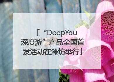 “DeepYou深度游”产品全国首发活动在潍坊举行
