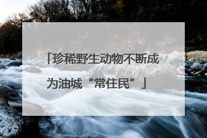 珍稀野生动物不断成为油城“常住民”