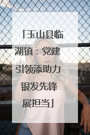 玉山县临湖镇：党建引领添助力 银发先锋展担当