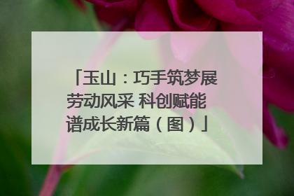 玉山：巧手筑梦展劳动风采 科创赋能谱成长新篇（图）
