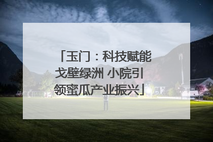 玉门：科技赋能戈壁绿洲 小院引领蜜瓜产业振兴