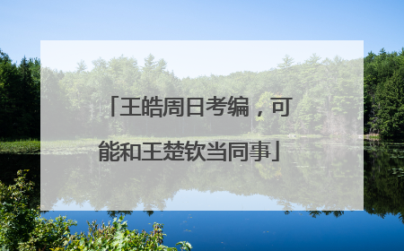 王皓周日考编，可能和王楚钦当同事