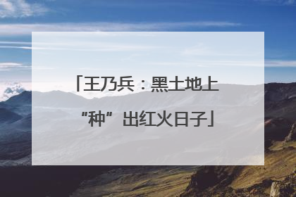 王乃兵：黑土地上“种”出红火日子