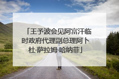 王予波会见阿富汗临时政府代理副总理阿卜杜·萨拉姆·哈纳菲