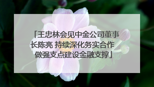 王忠林会见中金公司董事长陈亮 持续深化务实合作 做强支点建设金融支撑