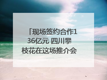 现场签约合作136亿元 四川攀枝花在这场推介会上画“图谱”列“清单”