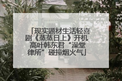 现实题材生活轻喜剧《蒸蒸日上》开机 高叶韩东君“澡堂律所”碰撞烟火气