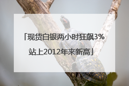 现货白银两小时狂飙3% 站上2012年来新高