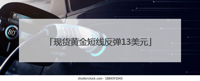 现货黄金短线反弹13美元