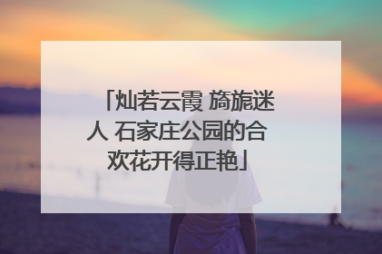 灿若云霞 旖旎迷人 石家庄公园的合欢花开得正艳