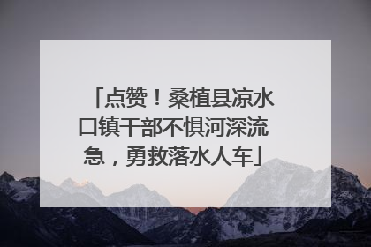 点赞！桑植县凉水口镇干部不惧河深流急，勇救落水人车