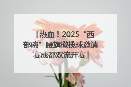 热血！2025“西部碗”腰旗橄榄球邀请赛成都双流开赛