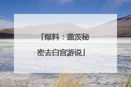 爆料：盖茨秘密去白宫游说