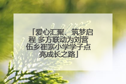 爱心汇聚、筑梦启程 多方联动为刘营伍乡崔寨小学学子点亮成长之路