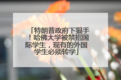特朗普政府下狠手！哈佛大学被禁招国际学生，现有的外国学生必须转学