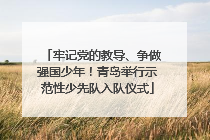 牢记党的教导、争做强国少年！青岛举行示范性少先队入队仪式