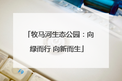 牧马河生态公园：向绿而行 向新而生