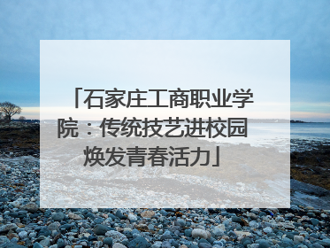 石家庄工商职业学院：传统技艺进校园焕发青春活力