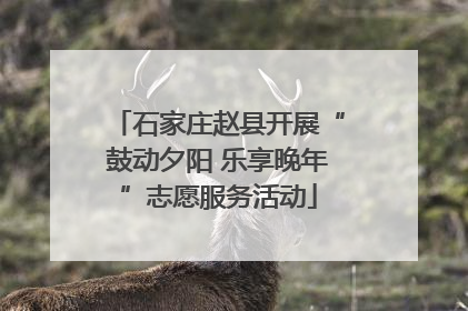 石家庄赵县开展“鼓动夕阳 乐享晚年”志愿服务活动