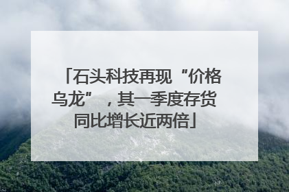 石头科技再现“价格乌龙”，其一季度存货同比增长近两倍