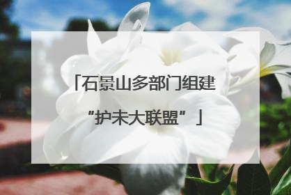 石景山多部门组建“护未大联盟”