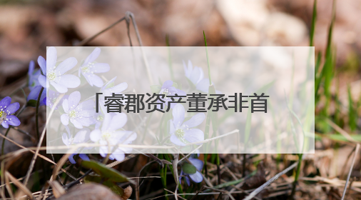 睿郡资产董承非首次官宣“封盘”，一季度重仓半导体