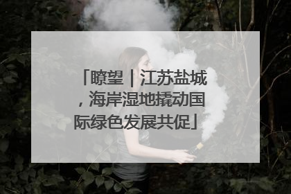 瞭望｜江苏盐城，海岸湿地撬动国际绿色发展共促