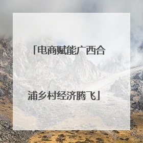 电商赋能广西合浦乡村经济腾飞