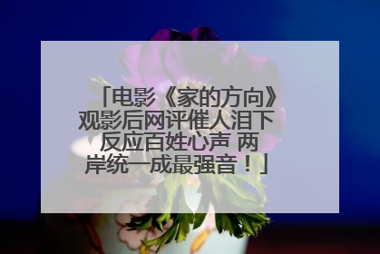 电影《家的方向》观影后网评催人泪下 反应百姓心声 两岸统一成最强音！