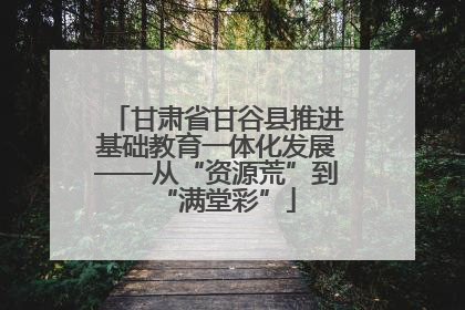 甘肃省甘谷县推进基础教育一体化发展——从“资源荒”到“满堂彩”