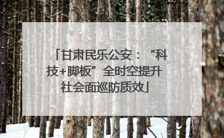 甘肃民乐公安：“科技+脚板”全时空提升社会面巡防质效