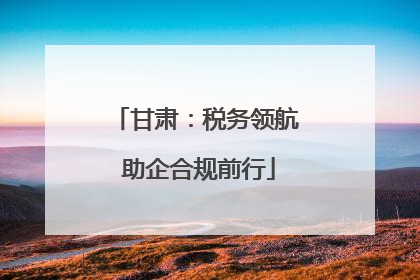 甘肃：税务领航 助企合规前行