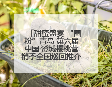 甜蜜盛宴 “圈粉”青岛 第六届中国·澄城樱桃营销季全国巡回推介会（青岛站）成功举办