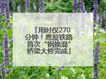 用时仅270分钟！鹰厦铁路首次“钢换混”桥梁大修完成