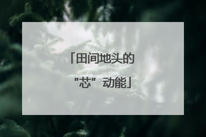 田间地头的“芯”动能