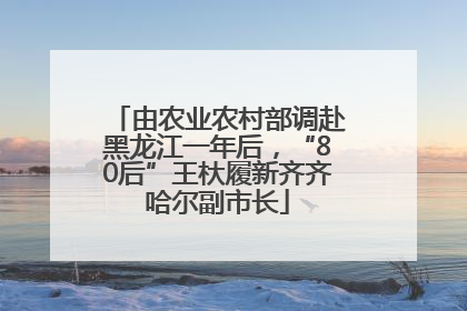 由农业农村部调赴黑龙江一年后，“80后”王杕履新齐齐哈尔副市长