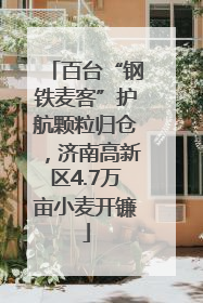 百台“钢铁麦客”护航颗粒归仓，济南高新区4.7万亩小麦开镰