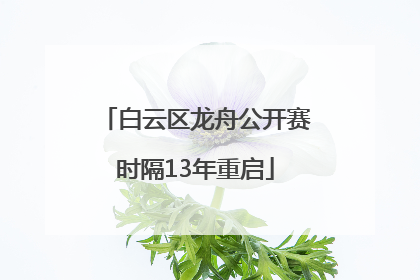 白云区龙舟公开赛时隔13年重启