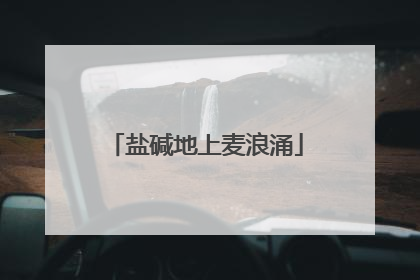 盐碱地上麦浪涌