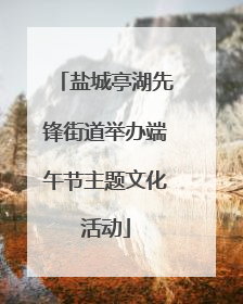 盐城亭湖先锋街道举办端午节主题文化活动
